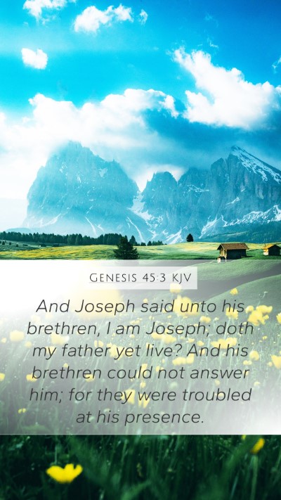 Genesis 45:3 Explained