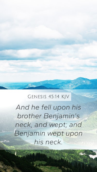 Genesis 45:14 Explained