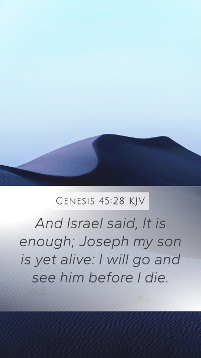 Genesis 45:28 Explained