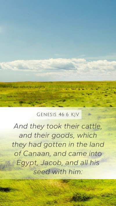 Genesis 46:6 Explained