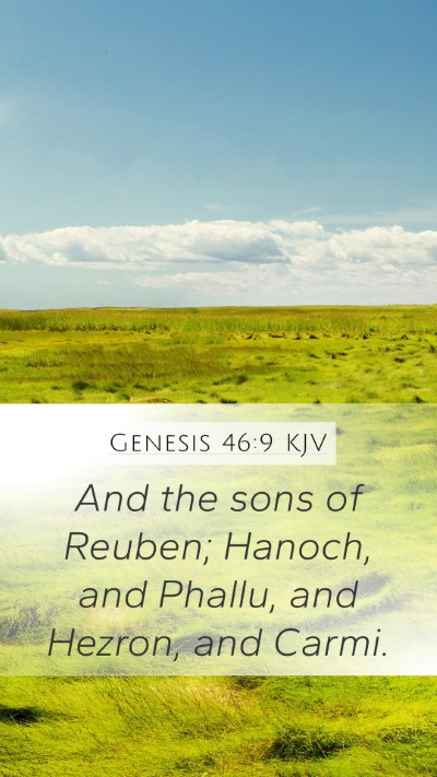 Genesis 46:9 Explained