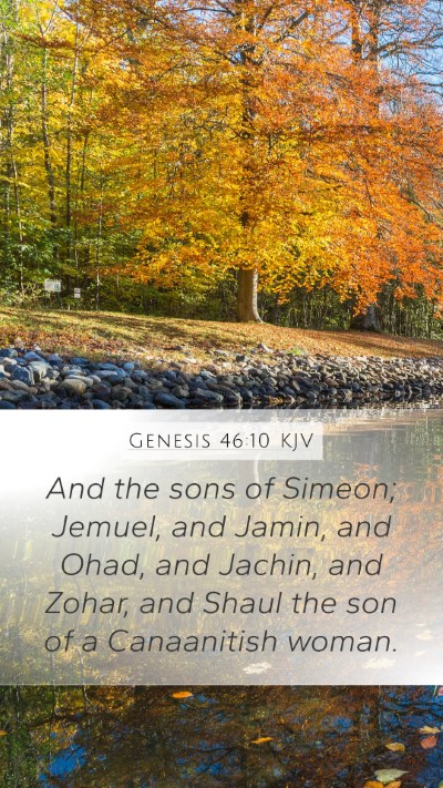 Genesis 46:10 Explained