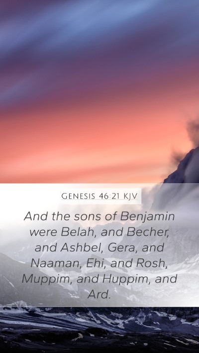 Genesis 46:21 Explained