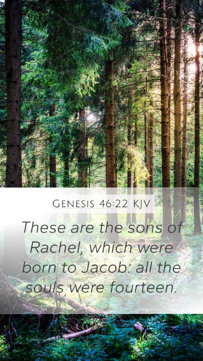 Genesis 46:22 Explained