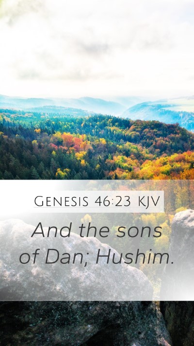 Genesis 46:23 Explained