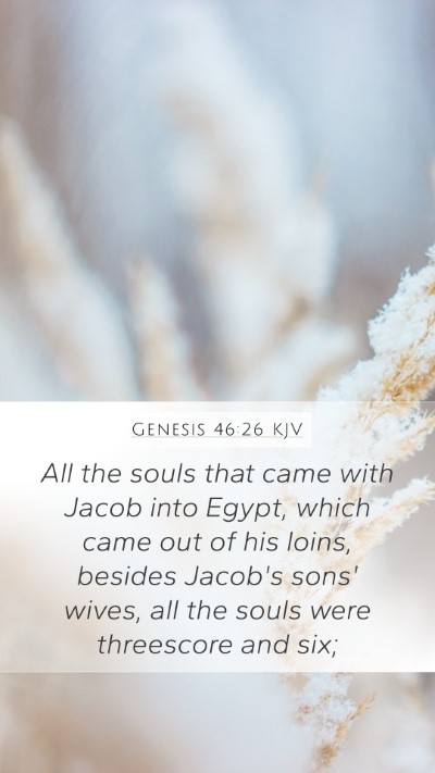 Genesis 46:26 Explained