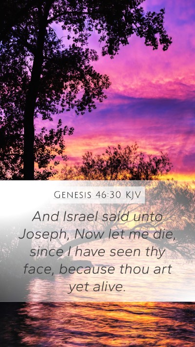 Genesis 46:30 Explained