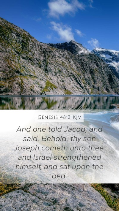 Genesis 48:2 Explained