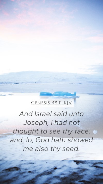 Genesis 48:11 Explained