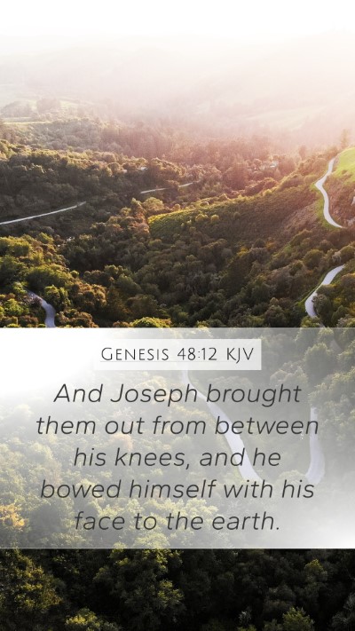 Genesis 48:12 Explained