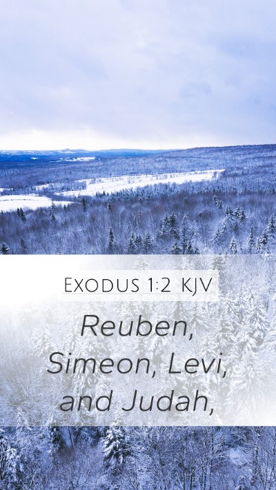 Exodus 1:2 Explained