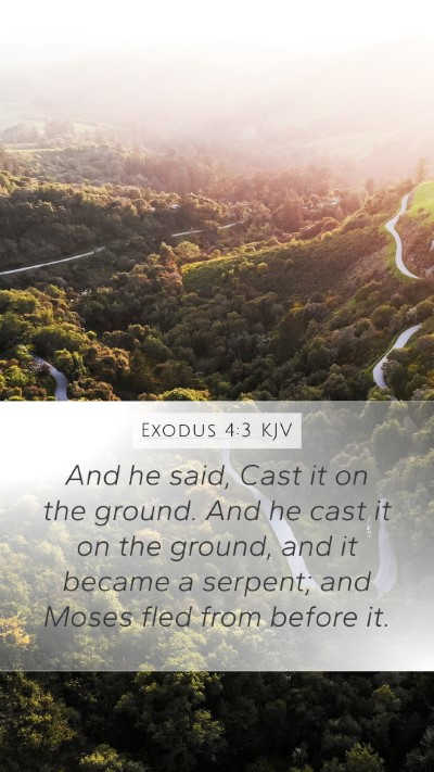 Exodus 4:3 Explained