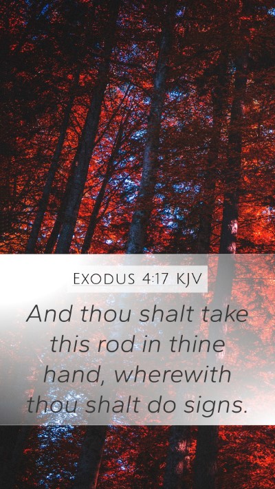 Exodus 4:17 Explained