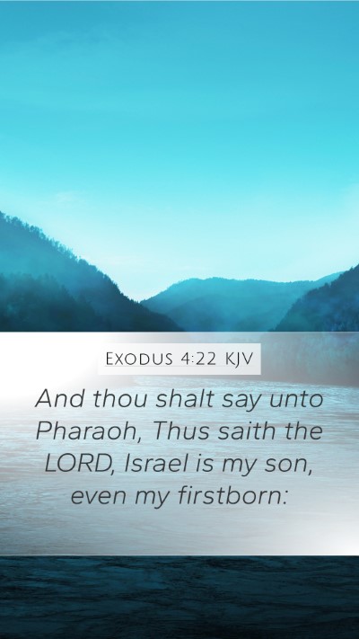 Exodus 4:22 Explained