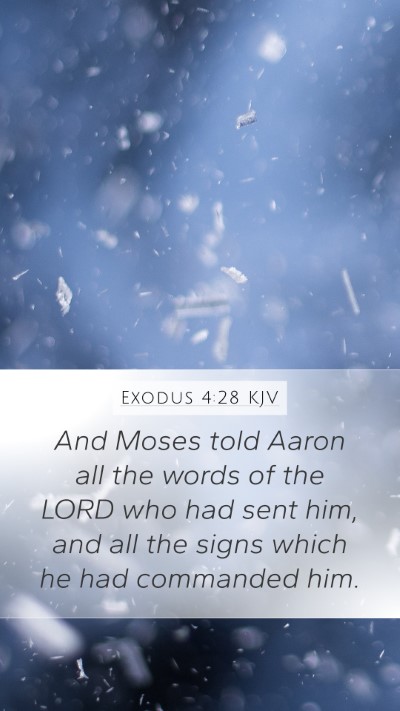 Exodus 4:28 Explained