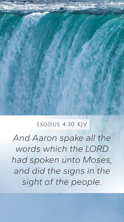 Exodus 4:30 Explained