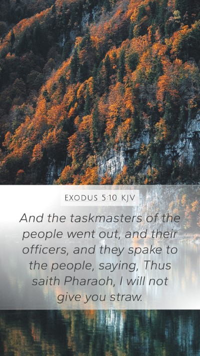 Exodus 5:10 Explained