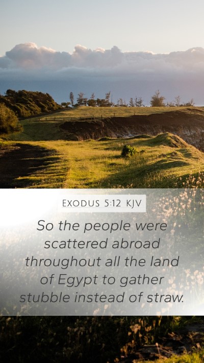 Exodus 5:12 Explained