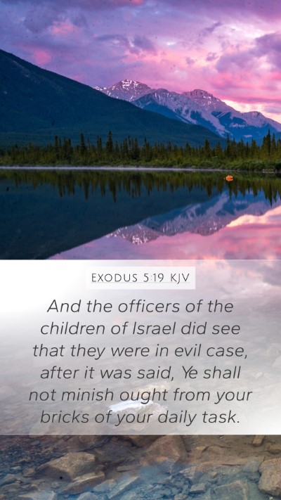 Exodus 5:19 Explained