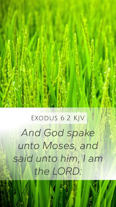 Exodus 6:2 Explained