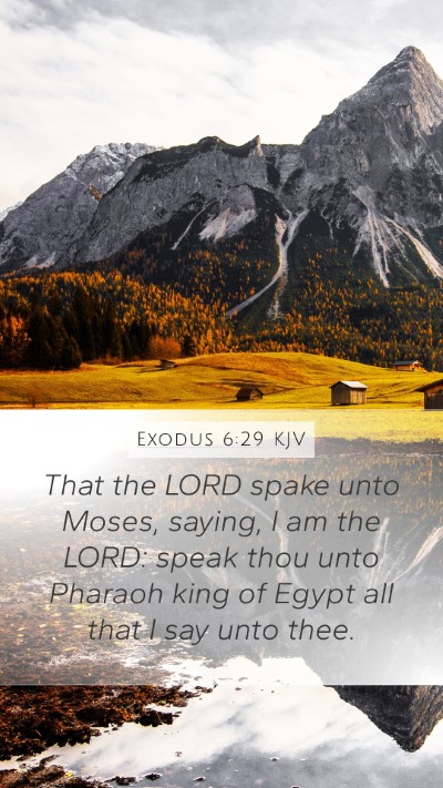 Exodus 6:29 Explained