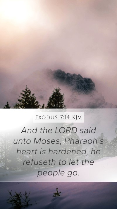 Exodus 7:14 Explained