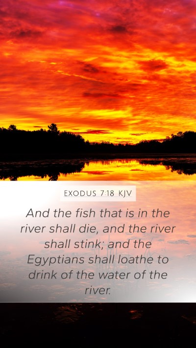 Exodus 7:18 Explained