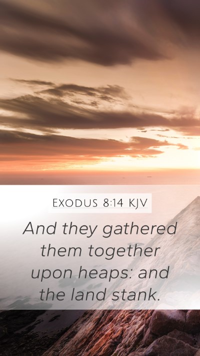 Exodus 8:14 Explained