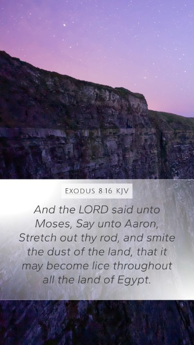 Exodus 8:16 Explained