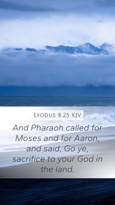 Exodus 8:25 Explained