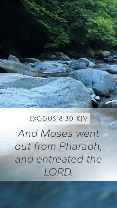 Exodus 8:30 Explained