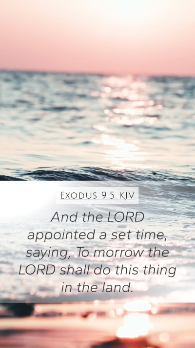 Exodus 9:5 Explained