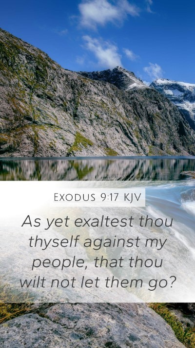 Exodus 9:17 Explained