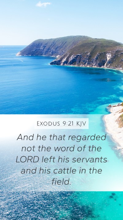 Exodus 9:21 Explained