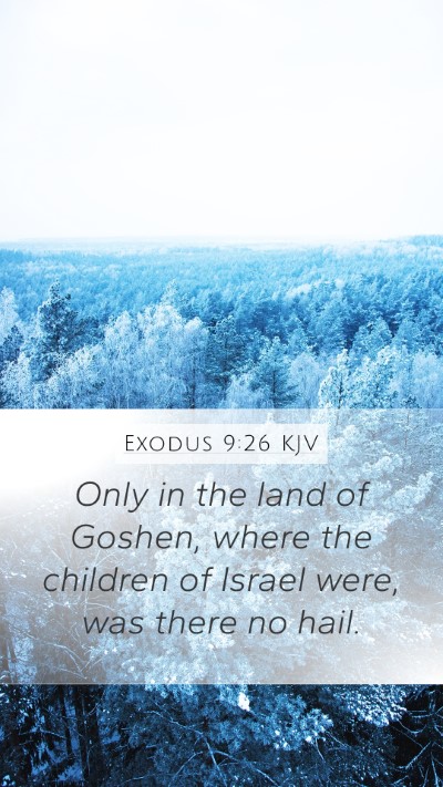 Exodus 9:26 Explained