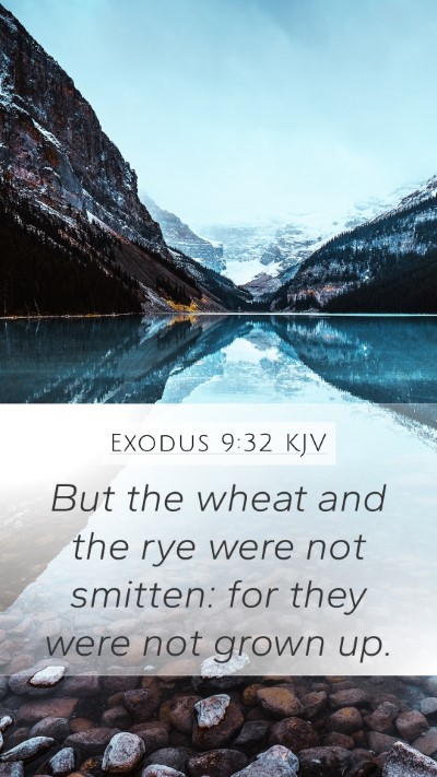 Exodus 9:32 Explained