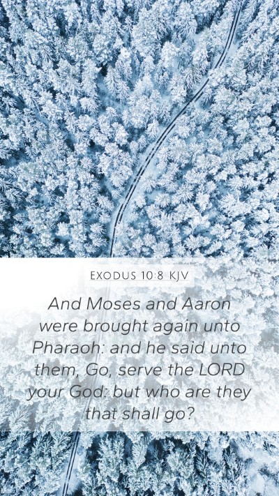 Exodus 10:8 Explained