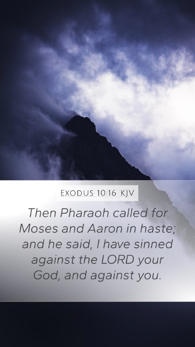 Exodus 10:16 Explained