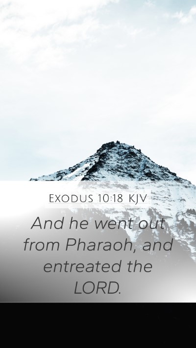 Exodus 10:18 Explained