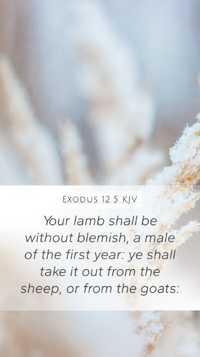 Exodus 12:5 Explained