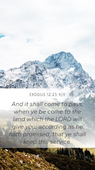 Exodus 12:25 Explained