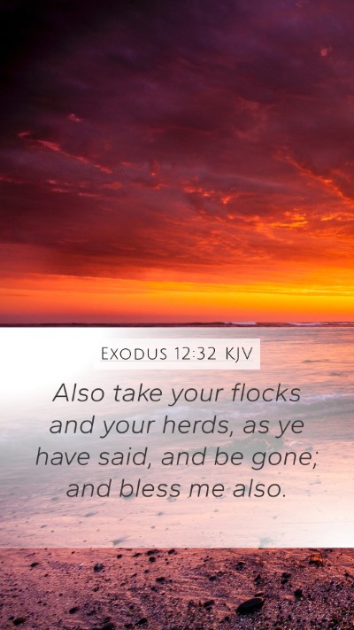 Exodus 12:32 Explained