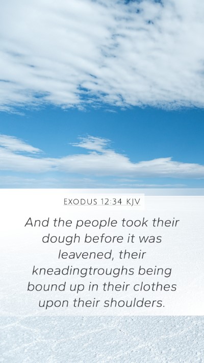 Exodus 12:34 Explained