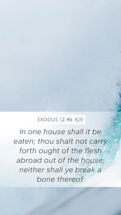 Exodus 12:46 Explained