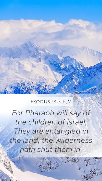 Exodus 14:3 Explained