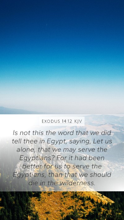 Exodus 14:12 Explained