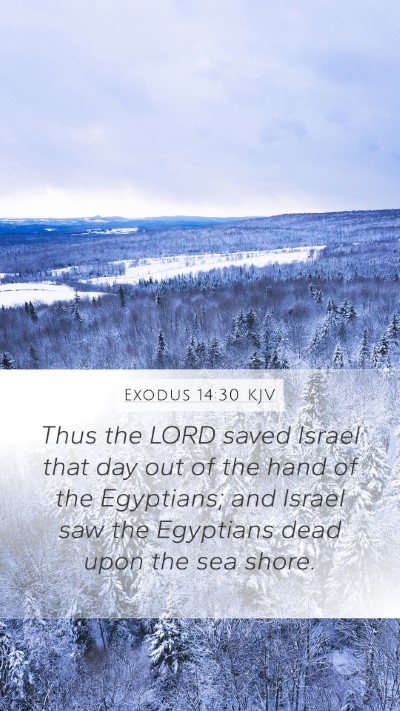 Exodus 14:30 Explained