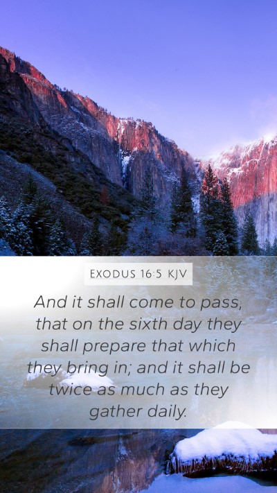 Exodus 16:5 Explained