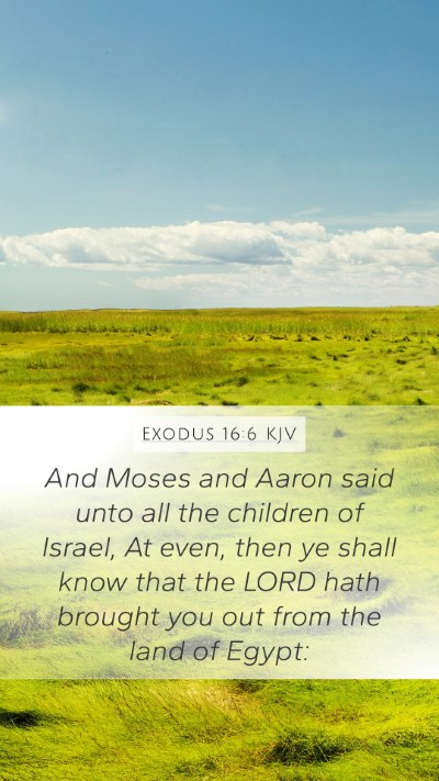 Exodus 16:6 Explained