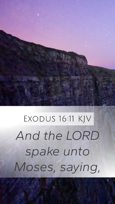 Exodus 16:11 Explained